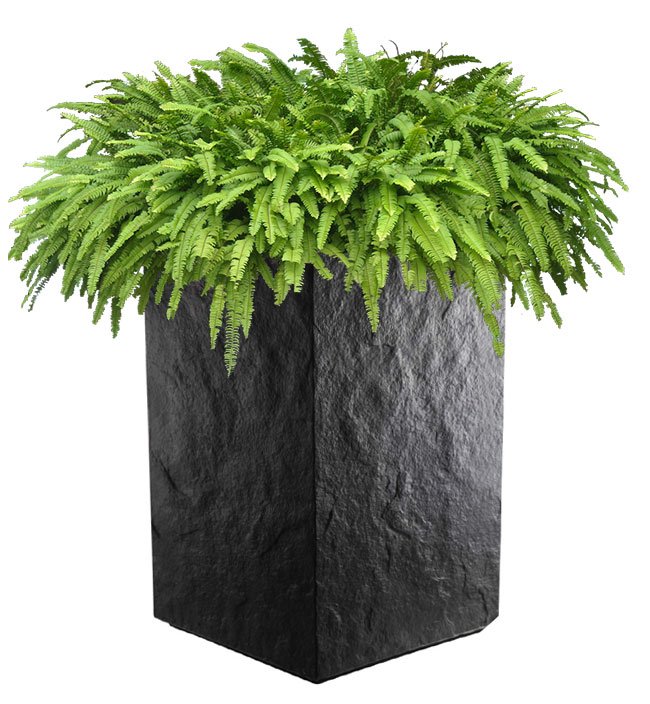 Stone Craft