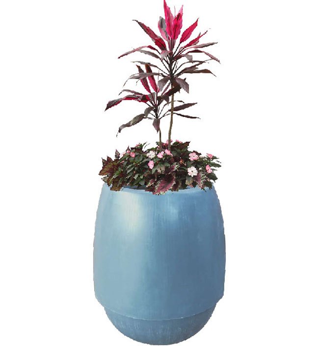 Ronda DX