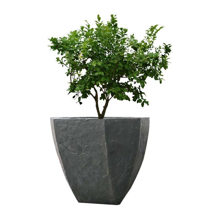 Stone Craft Zen